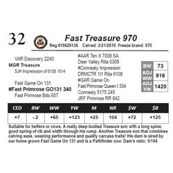 Fast Treasure 970