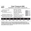 Image 1 : Fast Treasure 999