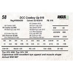 DCC Cowboy Up 916