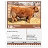 Image 1 : Lot - 50 - COMMERCIAL