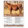 Image 1 : Lot - 51 - LIKE IT CERTIFIED BEEF 9150