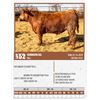 Image 1 : Lot - 52 - COMMERCIAL