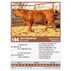 Image 1 : Lot - 64 - LIKE IT MERLIN 9164
