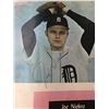 Image 2 : Detroit Tiger Yearbook