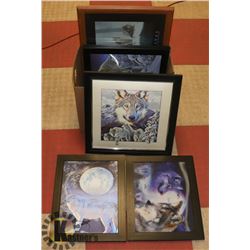 BOX WITH 6 WOLF PICTURES