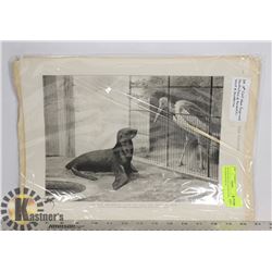 24 19TH CENTURY WOOD ENGRAVED ILLUSTRATIONS OF