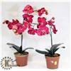 Image 1 : PAIR OF ARTIFICIAL ORCHIDS.