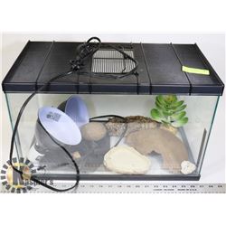REPTILE TERRARIUM INCL.