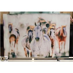 LARGE HORSE CANVAS.