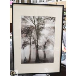 BLACK & WHITE TREE/SUN PRINT PICTURE.
