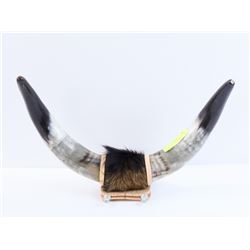 VINTAGE STEER HORNS WALL DÉCOR