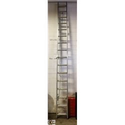 31FT LADDER