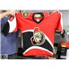 Image 1 : OTTAWA SENATORS JERSEY YOUTH SMALL.
