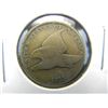 Image 1 : 1858 Flying Eagle Cent Large Letters
