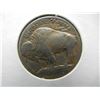 Image 2 : 1913 Buffalo Nickel Type 1