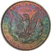 Image 2 : Lot 768 - 1885 Morgan Dollar NGC MS63*