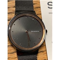 Skagen Wrist Watch