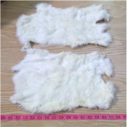 (2) JUMBO WHITE RABBIT PELTS