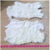 Image 1 : (2) JUMBO WHITE RABBIT PELTS