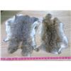 Image 1 : (2) JUMBO BROWN RABBIT PELTS