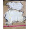 Image 2 : (2) JUMBO BROWN RABBIT PELTS