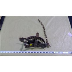 VICTOR TRAP WITH TEETH