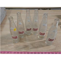 SIX STUBBY QUALITY BOTTLES