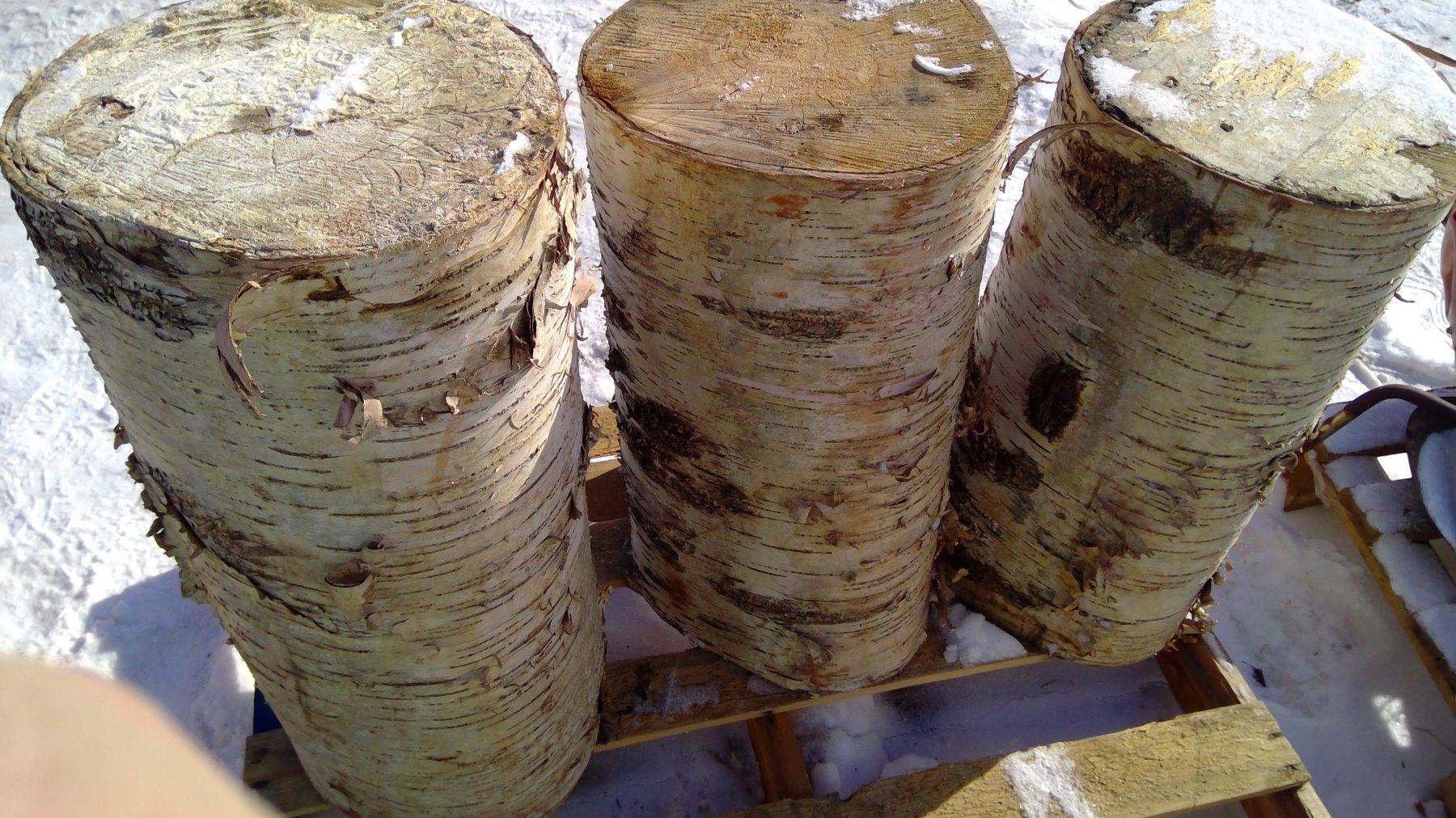 3 LARGE DRY BIRCH WOOD BLOCKS (24",25",27" 12" DIAMETER)