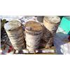 Image 10 : 3 LARGE DRY BIRCH WOOD BLOCKS (24",25",27" - 12" DIAMETER)