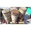 Image 11 : 3 LARGE DRY BIRCH WOOD BLOCKS (24",25",27" - 12" DIAMETER)