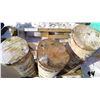 Image 8 : 3 LARGE DRY BIRCH WOOD BLOCKS (24",25",27" - 12" DIAMETER)