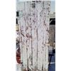 Image 3 : 1900s HOMESTEADER DOOR 29"x 68"