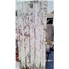 Image 6 : 1900s HOMESTEADER DOOR 29"x 68"