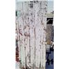 Image 7 : 1900s HOMESTEADER DOOR 29"x 68"
