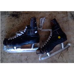 Footwarmer, Skates & Fishing Pole (All vintage)