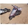 Image 2 : 1987 - HONDA UNKNOWN