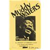 Image 1 : Muddy Waters