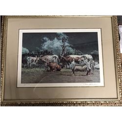 Longhorn  Lithograph