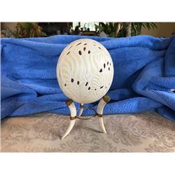 Carved Ostrich Egg
