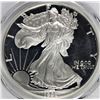 Image 1 : 1993-P AMERICAN SILVER EAGLE