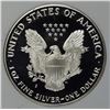 Image 2 : 1989 AMERICAN SILVER EAGLE