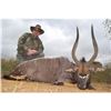 Image 1 : Africa Maximum is offering 7 hunting days in South Africa