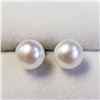 Image 1 : Silver Fresh Water Pearl Earrings (~weight 1.8g), Suggested Retail Value $40
