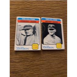 Walter johnson lot