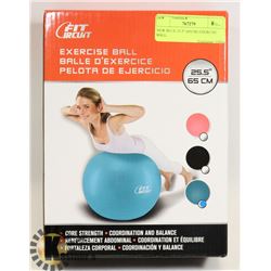 NEW BLUE 25.5" (65CM) EXERCISE BALL.