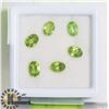 Image 1 : #42-GREEN PERIDOT LOOSE GEMSTONE 5.0 CT
