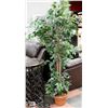 Image 1 : ARTIFICIAL FIG TREE 69" TALL