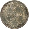 Image 2 : Newfoundland 5 Cents 1908 ICCS AU-55