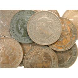 Canada Large Cent 1886-88 11 pieces VF