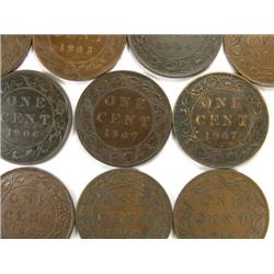 Canada Large Cent 1902-1910 VF-EF & up